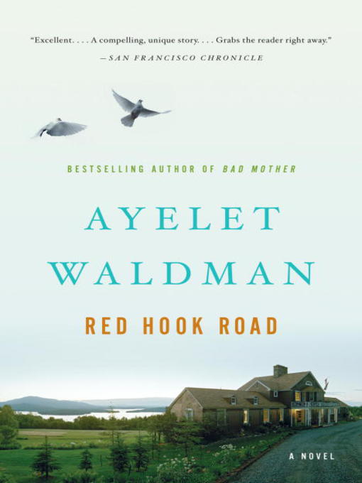 Title details for Red Hook Road by Ayelet Waldman - Available